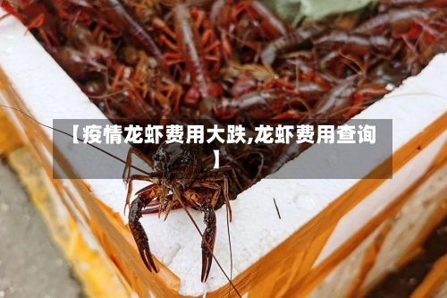 【疫情龙虾费用大跌,龙虾费用查询】-第2张图片