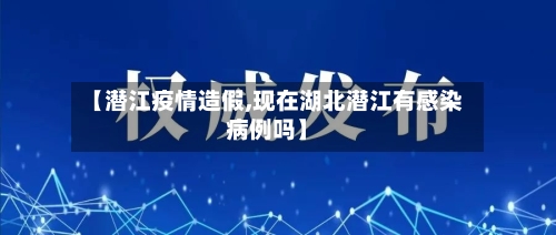 【潜江疫情造假,现在湖北潜江有感染病例吗】-第2张图片