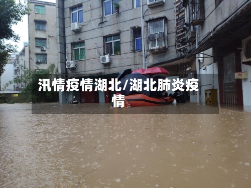 汛情疫情湖北/湖北肺炎疫情