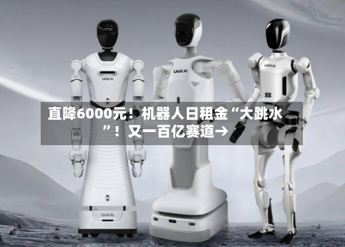 直降6000元！机器人日租金“大跳水”！又一百亿赛道→-第2张图片
