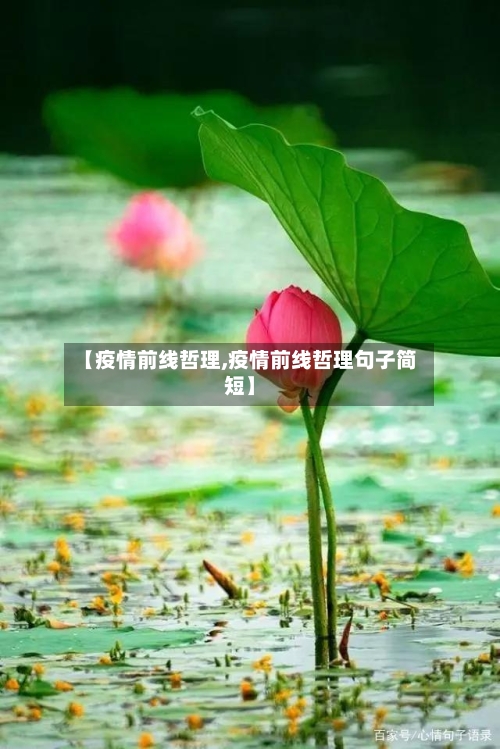【疫情前线哲理,疫情前线哲理句子简短】