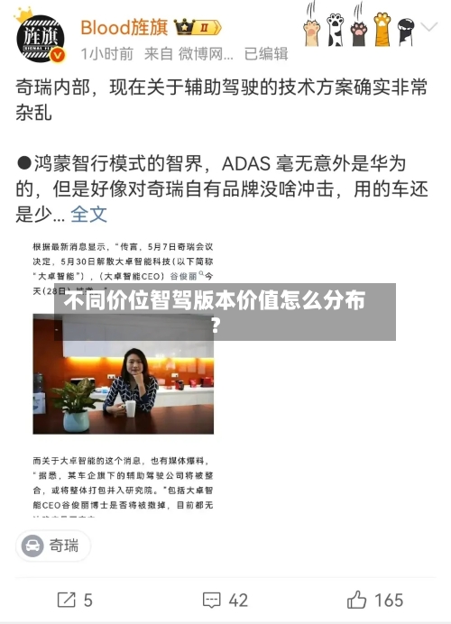 不同价位智驾版本价值怎么分布?-第2张图片