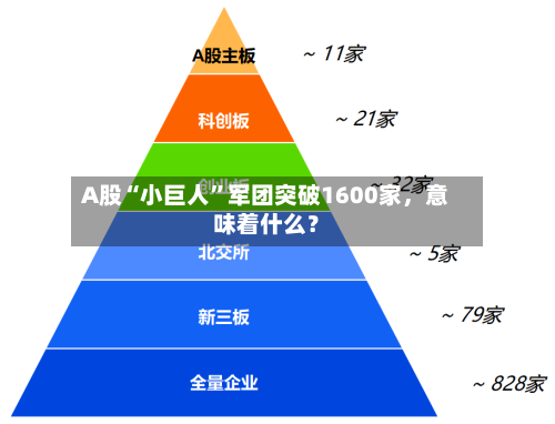 A股“小巨人”军团突破1600家，意味着什么？-第3张图片
