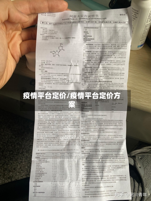 疫情平台定价/疫情平台定价方案