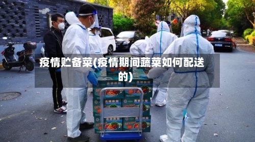 疫情贮备菜(疫情期间蔬菜如何配送的)