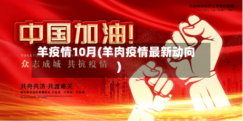 羊疫情10月(羊肉疫情最新动向)