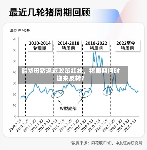 能繁母猪逼近政策红线，猪周期何时迎来反转？-第2张图片
