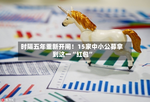 时隔五年重新开闸！15家中小公募拿到这一“红包”-第2张图片