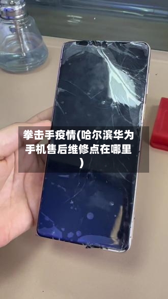 拳击手疫情(哈尔滨华为手机售后维修点在哪里)