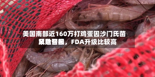 美国南部近160万打鸡蛋因沙门氏菌紧急召回，FDA升级比较高风险警报