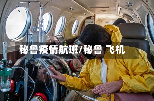 秘鲁疫情航班/秘鲁 飞机