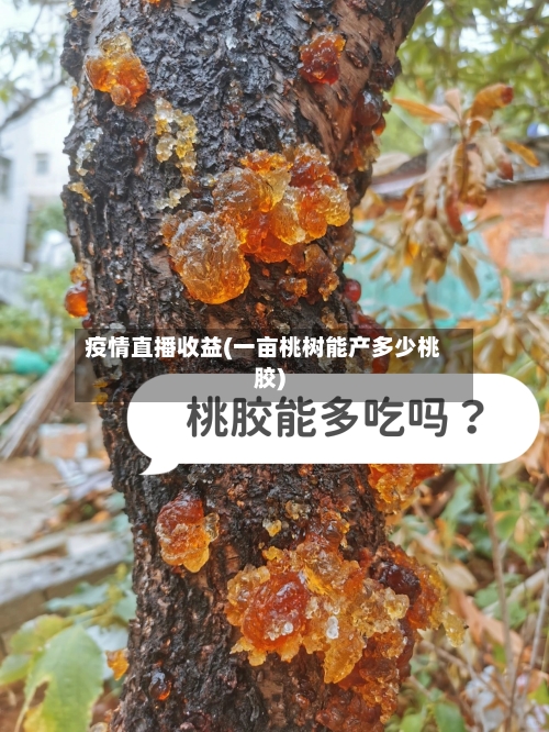 疫情直播收益(一亩桃树能产多少桃胶)-第3张图片