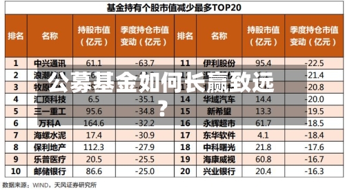 公募基金如何长赢致远?-第2张图片