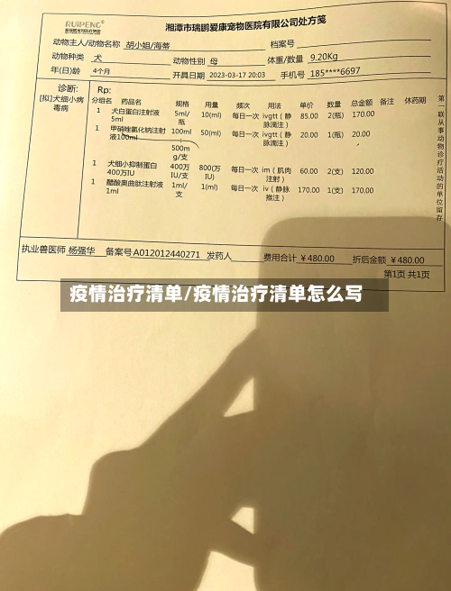 疫情治疗清单/疫情治疗清单怎么写