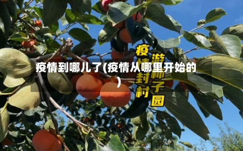 疫情到哪儿了(疫情从哪里开始的)