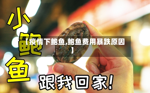 【疫情下鲍鱼,鲍鱼费用暴跌原因】-第2张图片
