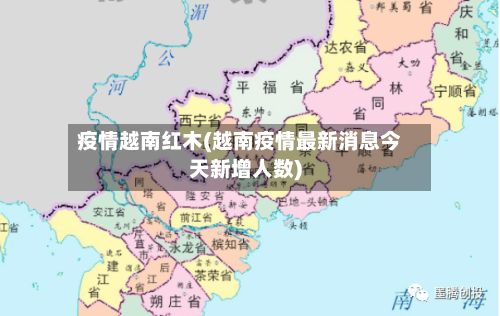 疫情越南红木(越南疫情最新消息今天新增人数)-第2张图片