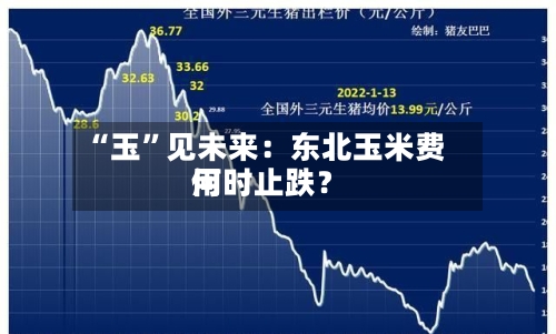 “玉”见未来：东北玉米费用何时止跌？