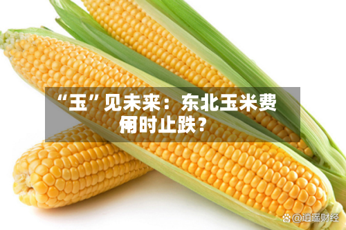 “玉”见未来：东北玉米费用何时止跌？-第2张图片