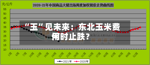 “玉	”见未来：东北玉米费用何时止跌？-第3张图片