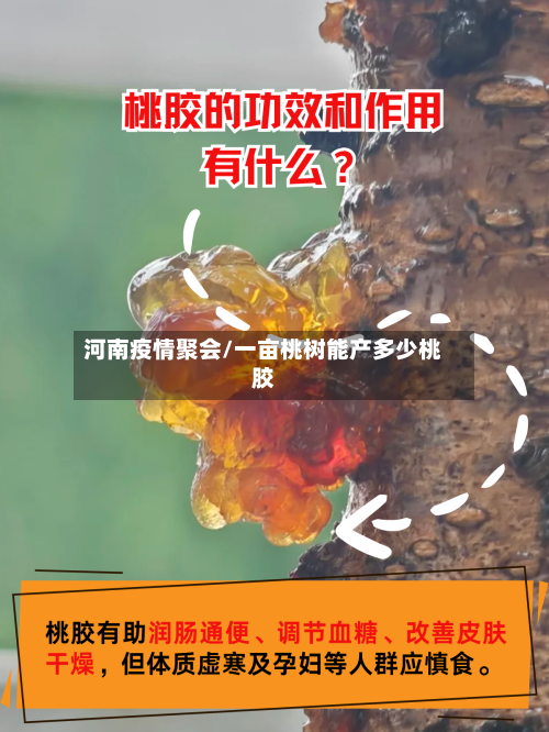 河南疫情聚会/一亩桃树能产多少桃胶