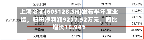 上海沿浦(605128.SH)发布半年度业绩	，归母净利润9277.52万元，同比增长18.94%-第3张图片