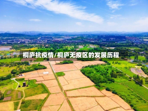 桐庐抗疫情/桐庐无疫区的发展历程
