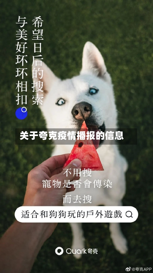 关于夸克疫情播报的信息-第2张图片