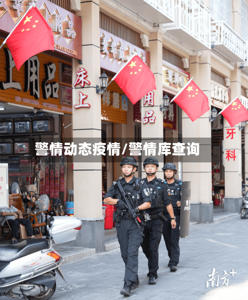 警情动态疫情/警情库查询-第2张图片