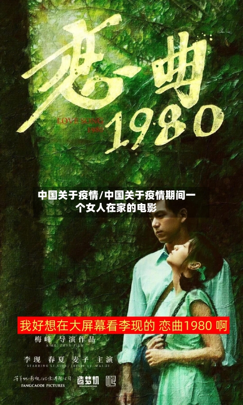 中国关于疫情/中国关于疫情期间一个女人在家的电影