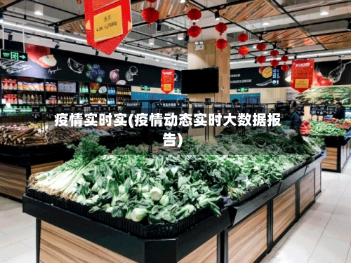 疫情实时实(疫情动态实时大数据报告)-第3张图片