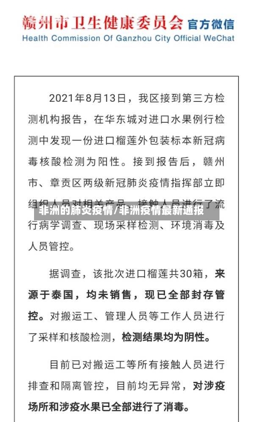 非洲的肺炎疫情/非洲疫情最新通报