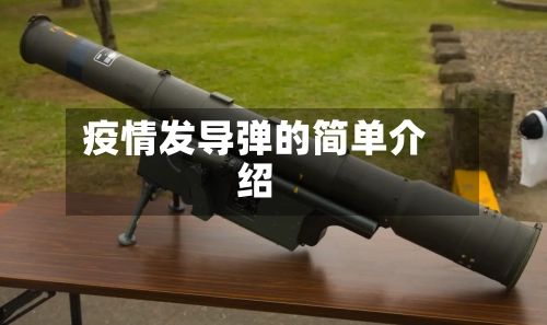 疫情发导弹的简单介绍-第3张图片