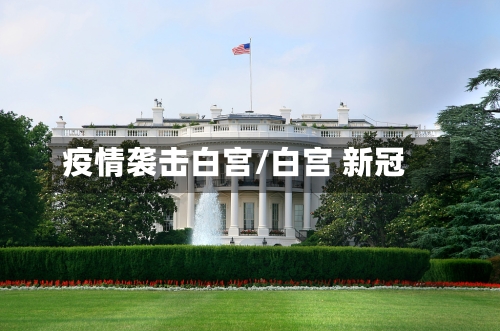 疫情袭击白宫/白宫 新冠-第2张图片