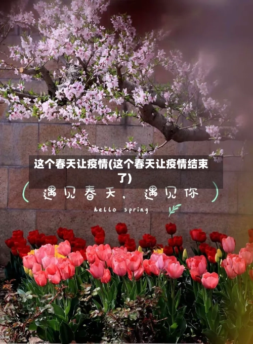 这个春天让疫情(这个春天让疫情结束了)-第2张图片