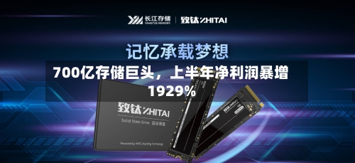 700亿存储巨头	，上半年净利润暴增1929%-第3张图片