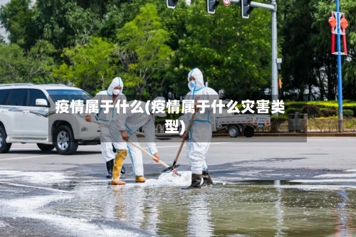 疫情属于什么(疫情属于什么灾害类型)