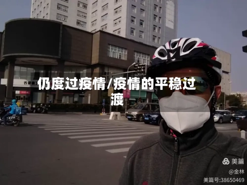 仍度过疫情/疫情的平稳过渡