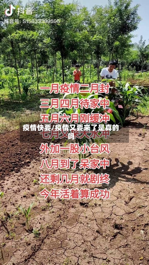 疫情快要/疫情又要来了是真的吗