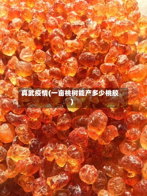 真武疫情(一亩桃树能产多少桃胶)