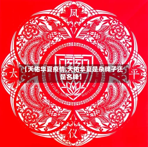 【天佑华夏疫情,天佑华夏是杂牌子还是名牌】-第2张图片