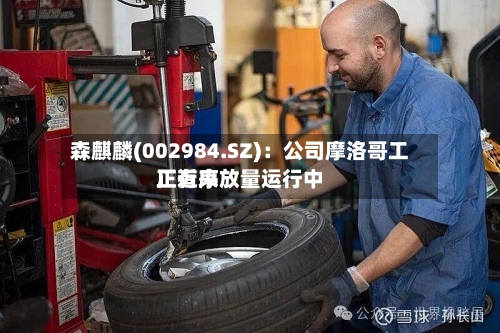 森麒麟(002984.SZ)：公司摩洛哥工厂近来正有序放量运行中