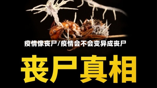 疫情像丧尸/疫情会不会变异成丧尸