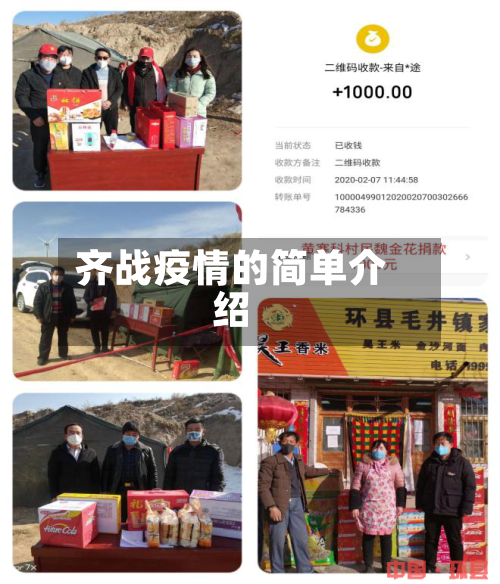 齐战疫情的简单介绍-第2张图片