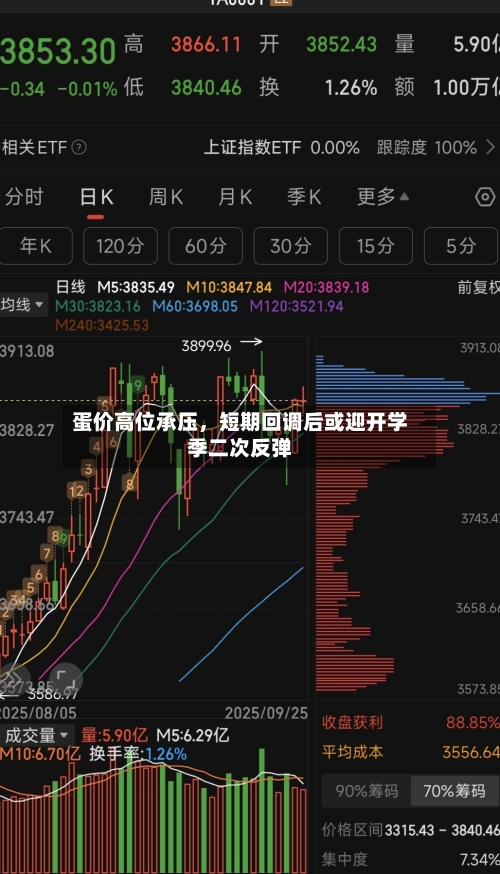 蛋价高位承压，短期回调后或迎开学季二次反弹-第2张图片