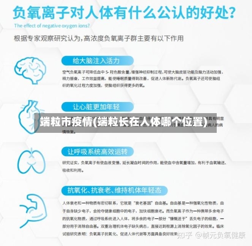 端粒市疫情(端粒长在人体哪个位置)-第2张图片