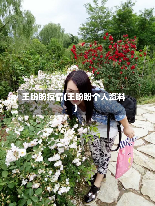 王盼盼疫情(王盼盼个人资料)