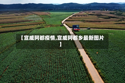 【宣威阿都疫情,宣威阿都乡最新图片】-第3张图片