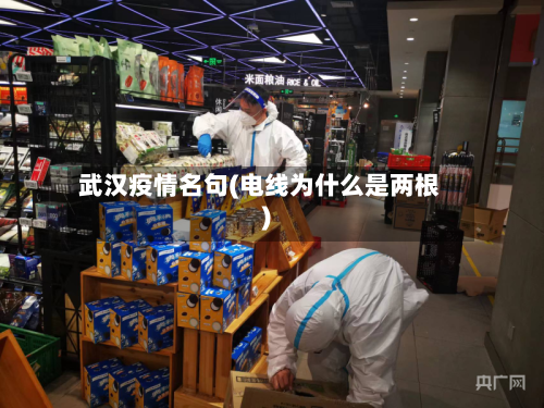 武汉疫情名句(电线为什么是两根)-第2张图片