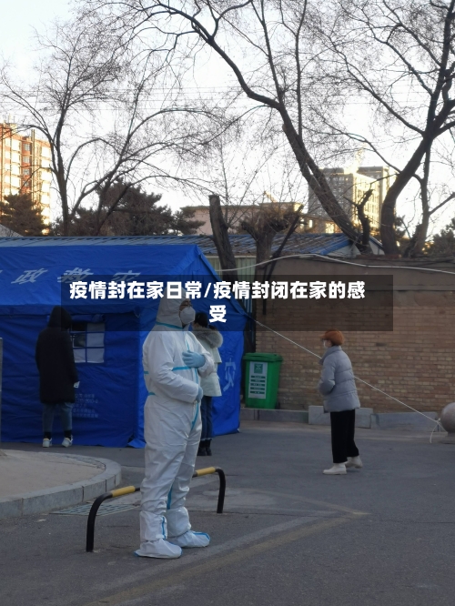 疫情封在家日常/疫情封闭在家的感受